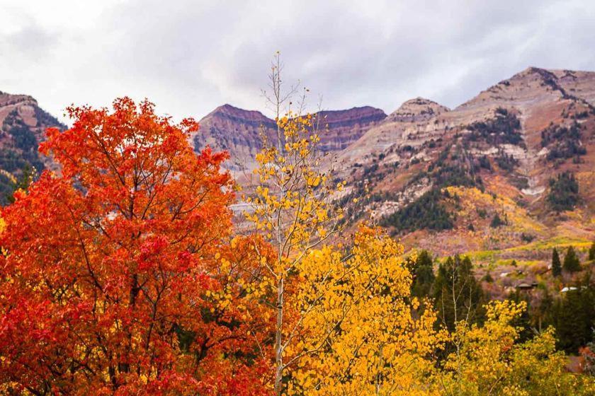 Log Cabin On The Stream Sundance, Utah 외부 사진